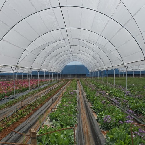 Apron Fabric manufactured by B&V Agro Irrigation Co